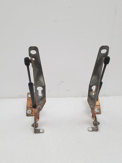 2010 - 2015 Volvo S60   Bonnet Hinge/Strut 30799178