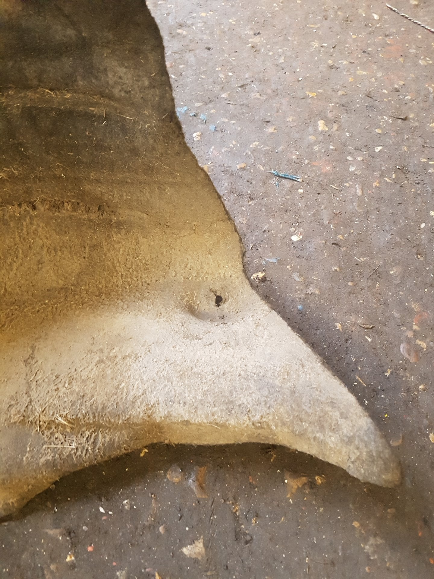 2017 - 2026 Volvo V60 II 225 Estate WHEEL ARCH LINER (DRIVERS SIDE REAR)