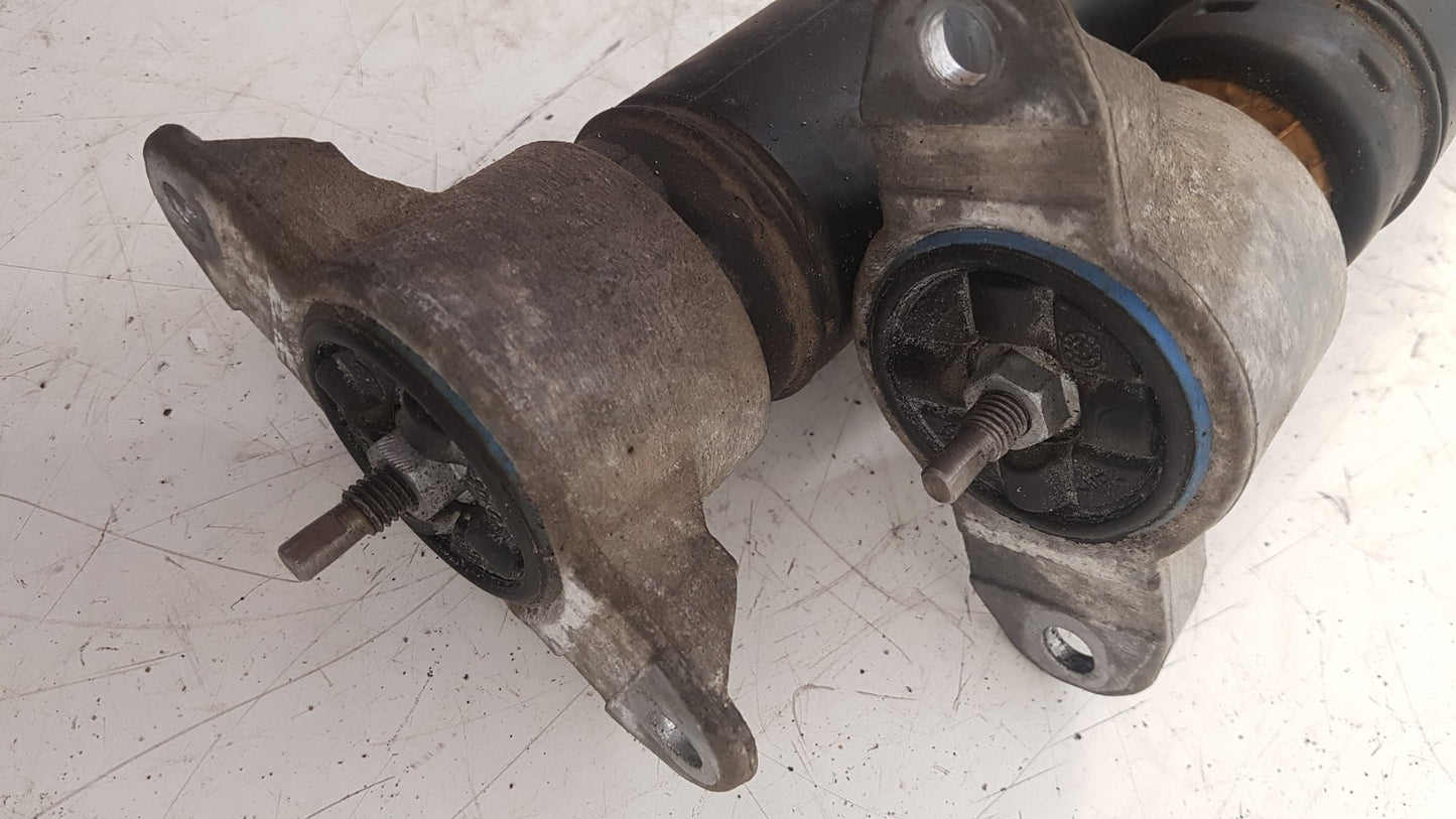 2015 - 2019 Volvo V40 Cross Country  Hatchback REAR SHOCK ABSORBER (PAIR) 442127