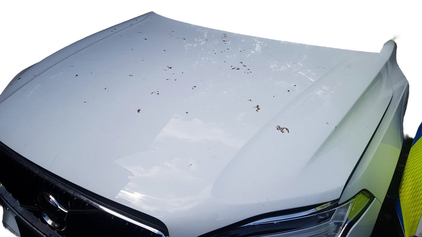 2015 - 2022 Volvo XC90 II 256 SUV Bonnet