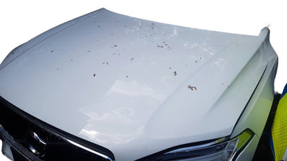 2015 - 2022 Volvo XC90 II 256 SUV Bonnet